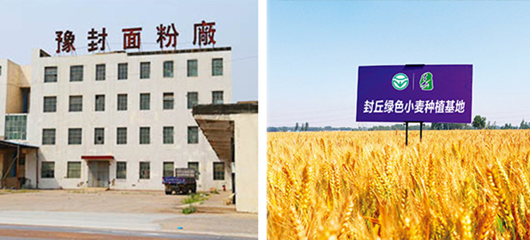 公司简介
